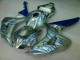 Bleu Flamme Argent Carénage Moto CBR 1000 RR 2006-2007 Bleu Flamme Argent Carénage Moto CBR 1000 RR 2006-2007