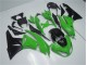 Vert Noir Carrosserie Moto ZX6R 2009-2012 Vert Noir Carrosserie Moto ZX6R 2009-2012