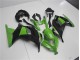 Vert Noir Carénages Moto EX300 2013-2016 Vert Noir Carénages Moto EX300 2013-2016